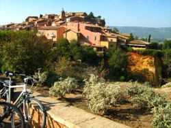 pic_Provence Camargue