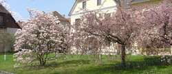 pic_Donau-Radweg: Schärding/Passau - Wien