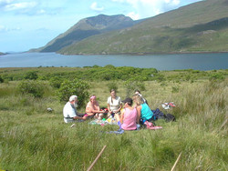 pic_Westküstentour – auf den Spuren des Wild Atlantik Way 