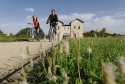 pic_Der Altmühltal-Radweg: Rothenburg - Regensburg