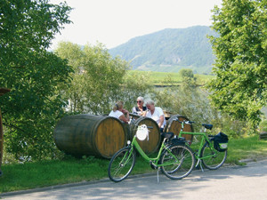 Bild 2 von 4