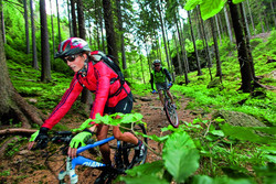 pic_Den Rennsteig mit dem Mountainbike bezwingen