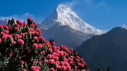 pic_Rundreise - Annapurna neu erleben: Trekking, Biking & Rafting