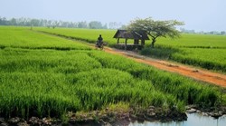 pic_Rundreise Thailand- Unterwegs im Land des Lächelns 
