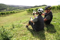 pic_Genießer Runde im Weimarer Land: Tagestour