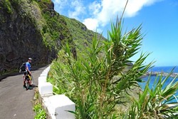 pic_Madeira Rundfahrt: Blumenwelt und Küstenland