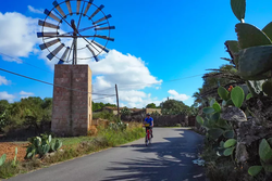 eurobike-radreise-mallorca-sant-jordi-radweg-windrad.webp