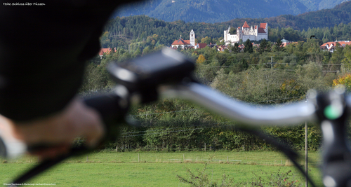 Bild 4 von 8
