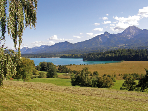 Bild 6 von 6