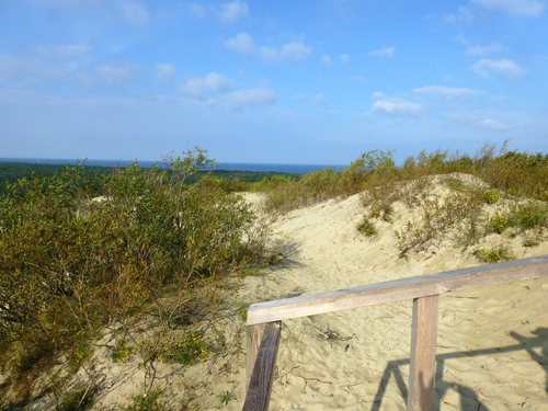 Bild 4 von 4