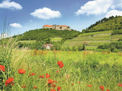 pic_Erleben Sie die Saale und Unstrut von Saalfeld bis Bernburg