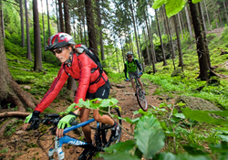 Mountainbiker_thueringer-wald.jpg