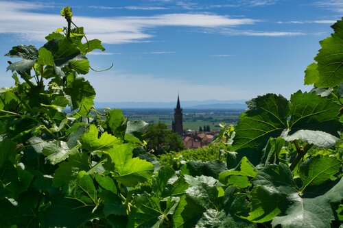 Bild 3 von 7