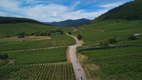 Bild 5 von 7