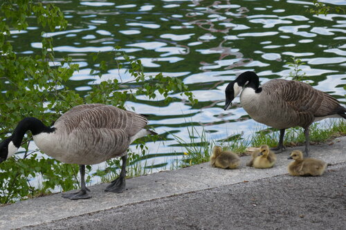 Bild 2 von 6