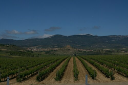 pic_Die Rioja Radreise