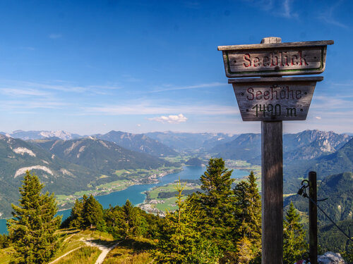 Bild 9 von 9