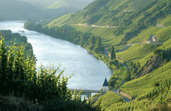 pic_Das Schönste der Mosel
