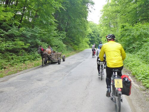 Bild 5 von 6