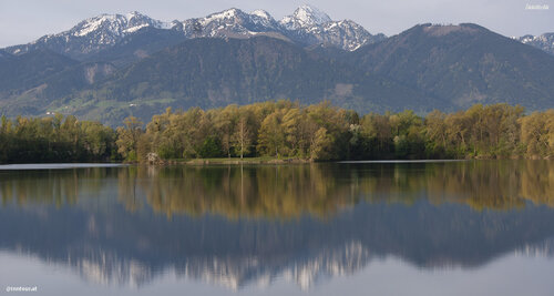 Bild 8 von 9