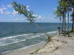 pic_Radtour Kurische Nehrung - Individuell