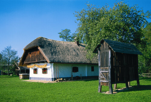 Bild 6 von 6