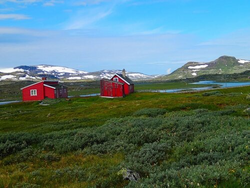pic_Norwegische Fjorde mit Bus & Rad entdecken