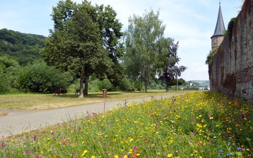 Bild 5 von 7