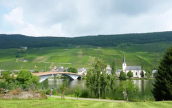 pic_Mosel Radweg mit Charme-Hotels