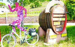 pic_Main: Winzerhoftour