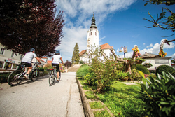 pic_Im Obstgarten der Steiermark - Radreise durch die Oststeiermark 