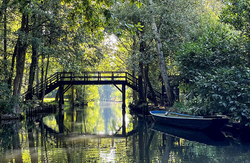 pic_Spreewald Rundtour:  Gurkenradweg
