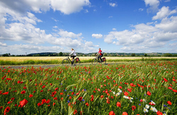 pic_Elberadweg: Die beliebteste Radtour entlang der Elbe von Wittenberg nach Bad Schandau