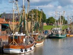 pic_Ostfriesische Impressionen: Mit Gelegenheit zur Radtour auf Norderney
