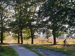 pic_Sternfahrt in der Veluwe