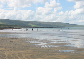 Green_Island.jpg