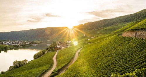 Bild 1 von 2