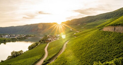 pic_Mosel, Saar & Sauer