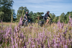 pic_Etappentour EmsRadweg (4, 6, 8 oder 10 Tage)