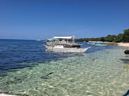 Camotes_01.jpg