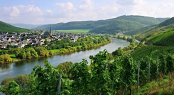 pic_Moselradweg - Trier bis Koblenz