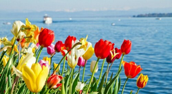 pic_Bodensee - Reise der Höhepunkte