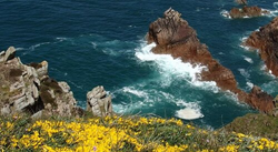pic_Kanalinseln - Jersey, Guernsey & Sark