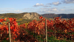 pic_Fahrradreise an Nahe, Mosel und über Hunsrück