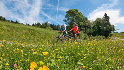 pic_Allgäu-Radrunde - Klassik Tour