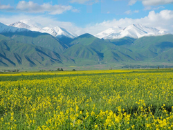 pic_E-Bike-Reise Kirgistan: Zwischen Bergen und Seen im Land der Nomaden