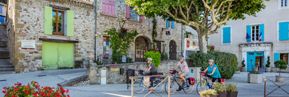 Provence 2.jpg