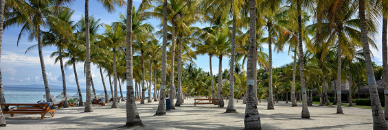 Insel02.jpg